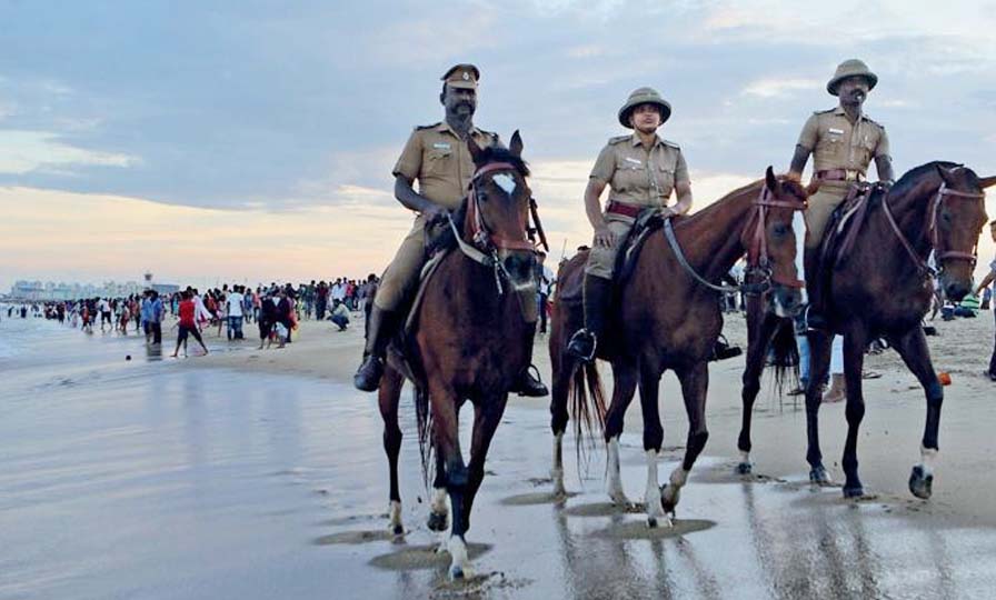 Kaanum Pongal 2019